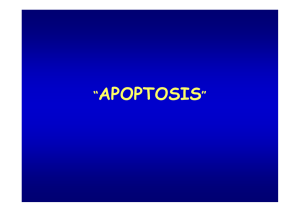 Seminario sobre apoptosis general