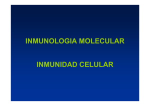 inmunologia molecular inmunidad celular