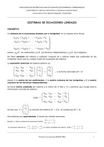 contenidos teóricos