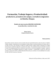 Formación, Trabajo Seguro y Productividad: productores, jornaleros