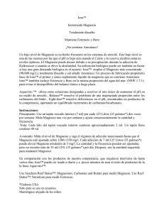 Ions™ Incrementa Magnesio Totalmente disuelto Mantiene