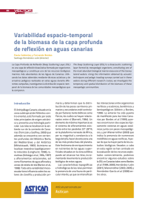 Variabilidad espacio-temporal de la biomasa de la capa profunda