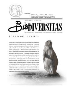 LOS PERROS LLANERO S - Biodiversidad Mexicana