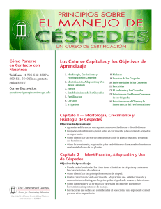 CÉSPEDES - Georgia Center