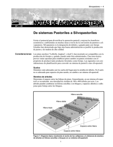 NOTAS DE AGROFORESTERíA - National Agroforestry Center