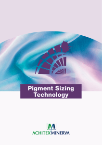 Pigment Sizing Technology