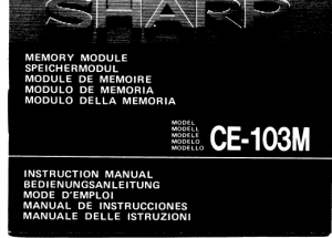 memory module speichermodul module de memoire modulo de