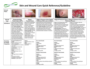 Skin and Wound Care Quick Reference/Guideline