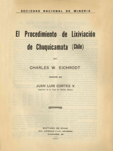 £1 Procedimiento de Lixiviación de Chuquicamata (Chile)