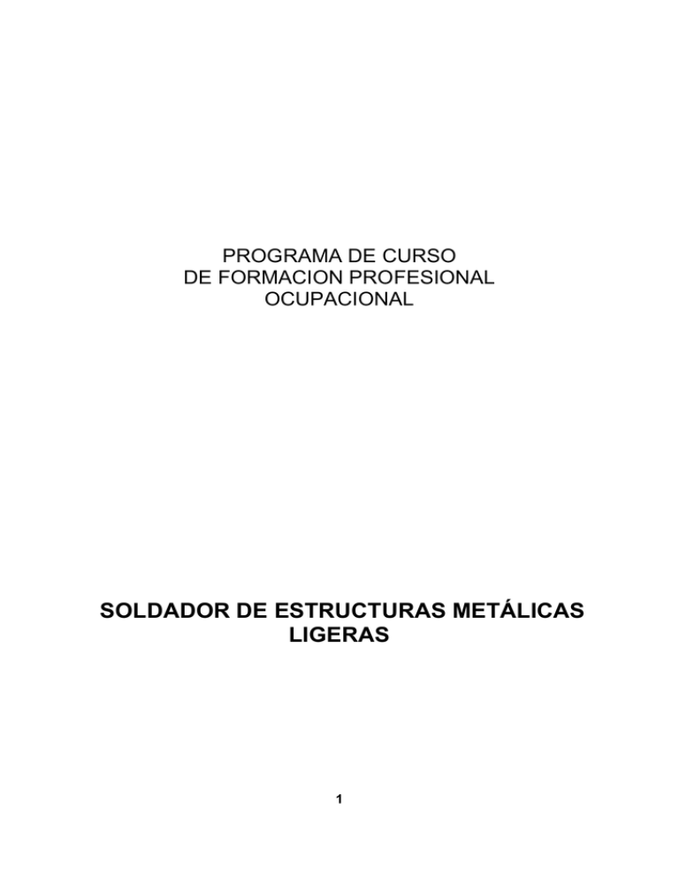 SOLDADOR DE ESTRUCTURAS MET LICAS LIGERAS