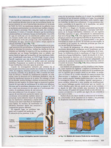 Modelos de membrana: pmblmmts ct`cntt_`fïcos