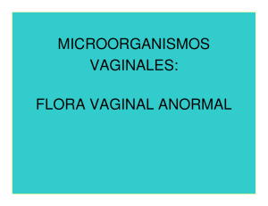 microorganismos vaginales: flora vaginal anormal