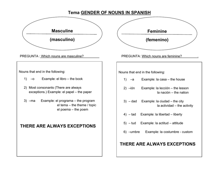 Tema GENDER OF NOUNS IN SPANISH Masculine