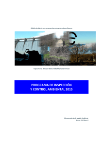 Programa de inspección y control ambiental 2015