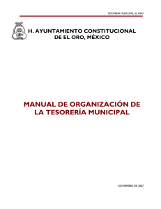 manual de organización de la tesorería municipal