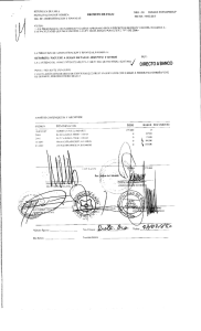 rei`ublica de chile municipalidad de (¡orbea decreto de pago dir. de