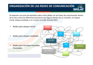 organización de las redes de comunicación