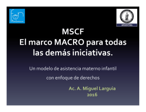 MSCF El marco MACRO para todas las demás iniciativas.