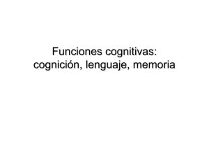 Funciones cognitivas: cognición, lenguaje, memoria