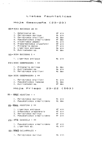 Listas -Faunistica H o j a G a s c u lEa ñ a C 2 3
