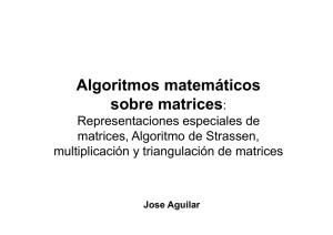 Algoritmos matemáticos sobre matrices