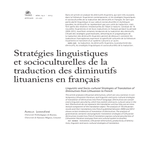 Stratégies linguistiques et socioculturelles de la traduction