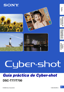 Guía práctica de Cyber-shot