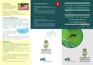 control of the asian tiger mosquito in torrevieja control de mosquito