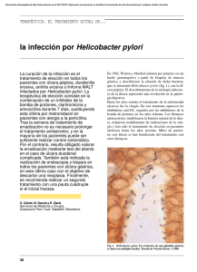 la infección por Helicobacter pylori