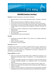 Arquitecto de soluciones OSS-BSS