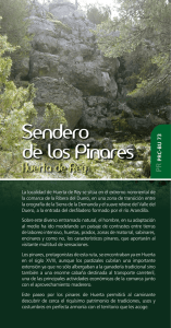 Sendero de los Pinares - La Posada de Salaverri
