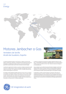 Motores Jenbacher a Gas