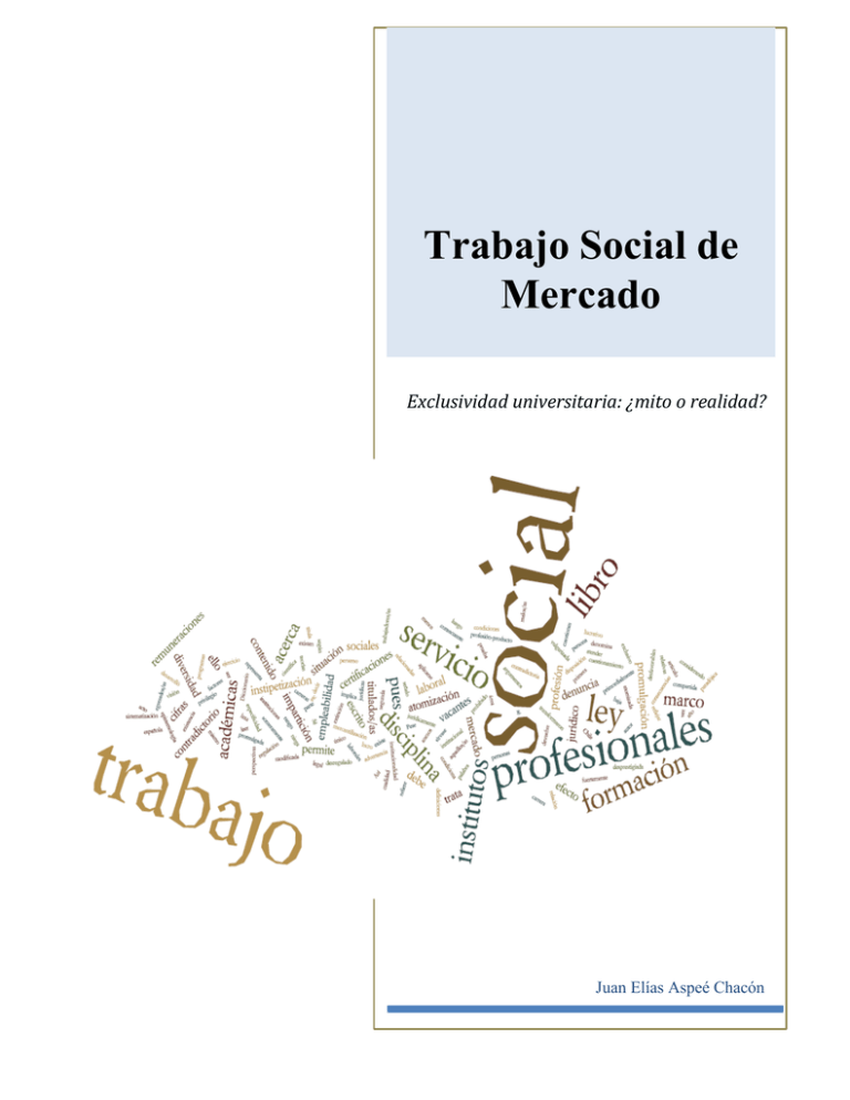 Trabajo Social De Mercado Exclusividad Universitaria