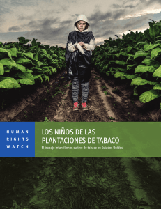 los niños de las plantaciones de tabaco