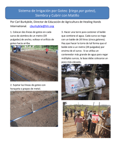 Sistema de Irrigación por Goteo (riego por goteo), Siembra y Cubrir
