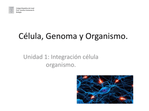 Célula, Genoma y Organismo.