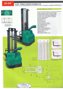 LGM XS-XM