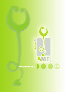 1 - AMIR