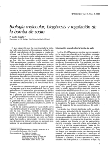 Biología molecular, biogénesis y regulación de
