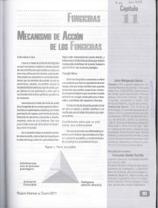 FUNGICIDAS MECANISMO DE ACCiÓN DE LOS FUNGICIDAS