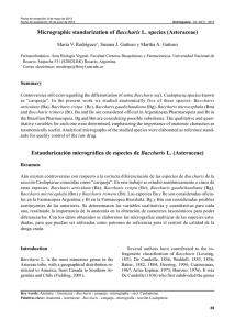 Micrographic standarization of Baccharis L. species
