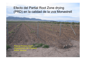 partial root zone drying (prd)