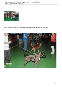Casi un centenar de perros participaron en eI II Concurso Canino