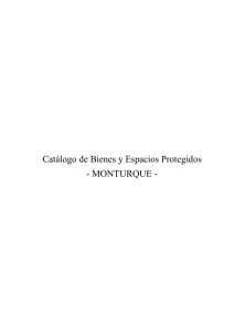 Catálogo de Bienes y Espacios Protegidos - MONTURQUE -
