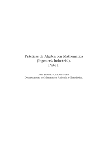 Prácticas de Algebra con Mathematica