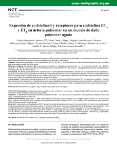 Expresión de endotelina-1 y receptores para endotelina ETA y ETB