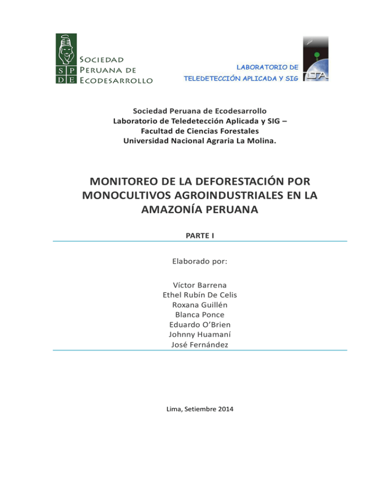 Monitoreo Deforestaci n Por Palma