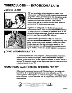 tuberculosis - - exposición a la tb