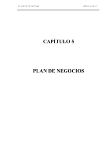 CAPÍTULO 5 PLAN DE NEGOCIOS