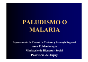 PALUDISMO ENDÉMICO - Ministerio de Salud